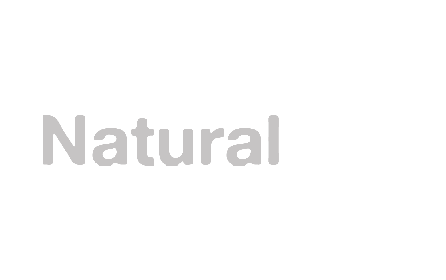 Logotipo NaturalSoft