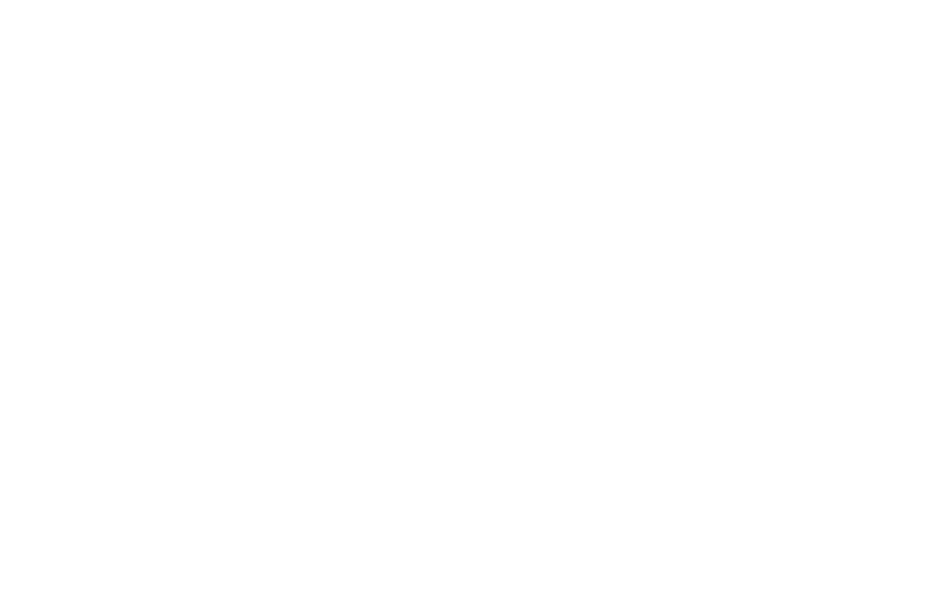 Logotipo Sanux